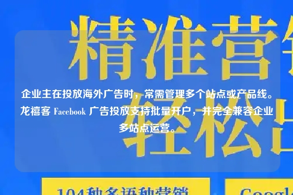 企业主在投放海外广告时，常需管理多个站点或产品线。龙禧客 Facebook 广告投放支持批量开户，并完全兼容企业多站点运营。