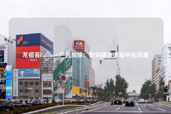 龙禧客Facebook广告投放：如何精准抓取中东流量