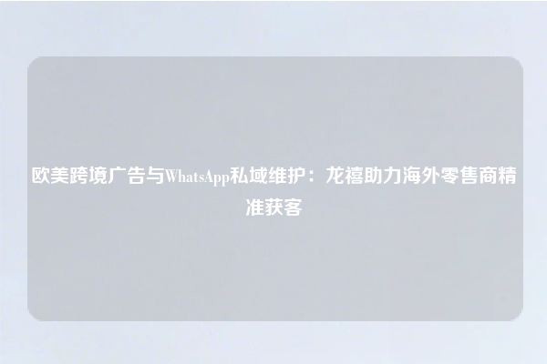 欧美跨境广告与WhatsApp私域维护：龙禧助力海外零售商精准获客