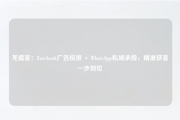 龙禧客：Facebook广告投放 + WhatsApp私域承接，精准获客一步到位