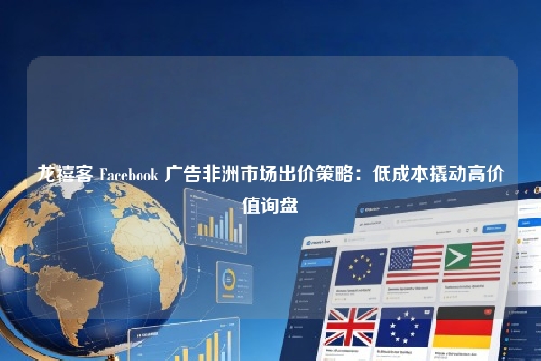 龙禧客 Facebook 广告非洲市场出价策略：低成本撬动高价值询盘