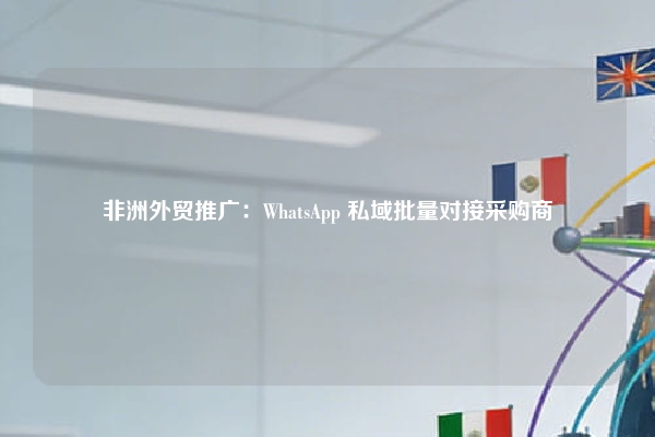 非洲外贸推广：WhatsApp 私域批量对接采购商