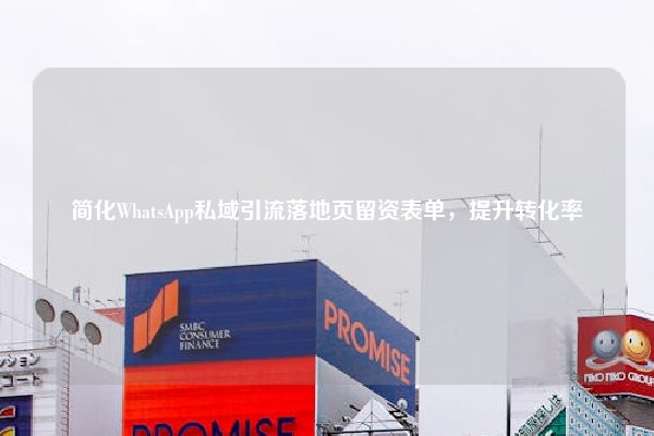 简化WhatsApp私域引流落地页留资表单，提升转化率