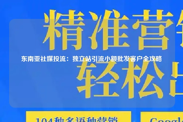 东南亚社媒投流：独立站引流小额批发客户全攻略