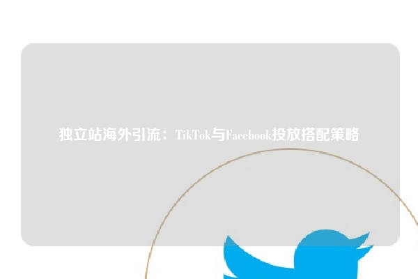 独立站海外引流：TikTok与Facebook投放搭配策略