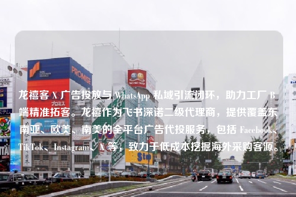 龙禧客 X 广告投放与 WhatsApp 私域引流闭环，助力工厂 B 端精准拓客。龙禧作为飞书深诺二级代理商，提供覆盖东南亚、欧美、南美的全平台广告代投服务，包括 Facebook、TikTok、Instagram、X 等，致力于低成本挖掘海外采购客源。