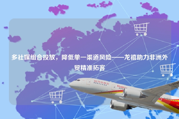 多社媒组合投放，降低单一渠道风险——龙禧助力非洲外贸精准拓客