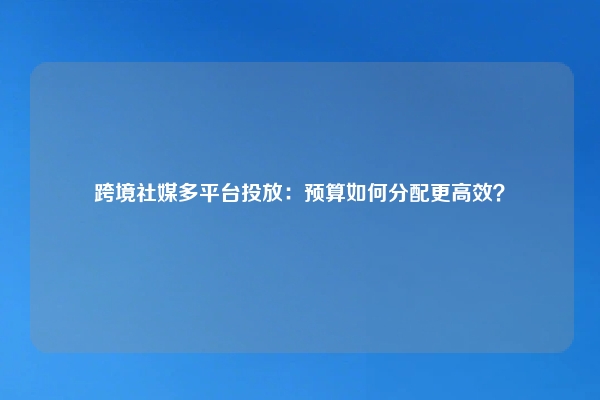 跨境社媒多平台投放：预算如何分配更高效？